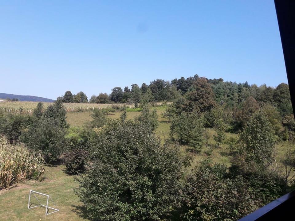 오굴린 Kuca Za Odmor Anamarija 빌라 외부 사진